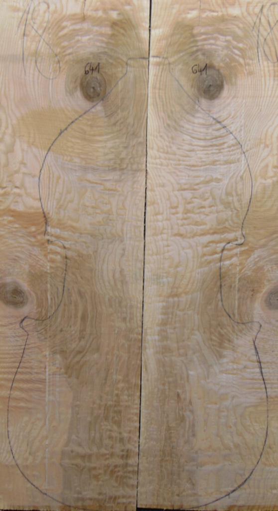 Exploring the Beauty of Violin Wood: A Guide to Spruce and Maple Tonewood